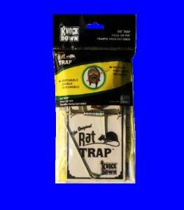 KD Rat Trap with display
