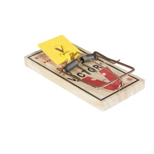 Victor Easy Set Rat Trap Bulk 12/cs - M326