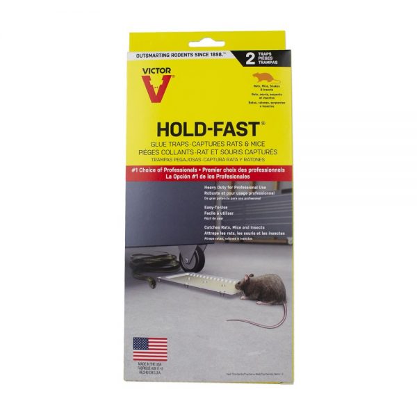 Victor® Hold-Fast Rat and Mouse Glue Tray 2pk 12/cs - M669TRI