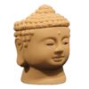 ZENDOZONES BACKYARD BUDDHA CITRONELLA CANDLE 18P-BB - Image 2