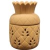 ZENDOZONES PATIO PINEAPPLE CITRONELLA CANDLE 18P-PP - Image 2