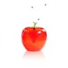 Raid 120 Day Supply Fruit Fly Trap 2/PK # 2PK-FFTA-RAID - Image 2